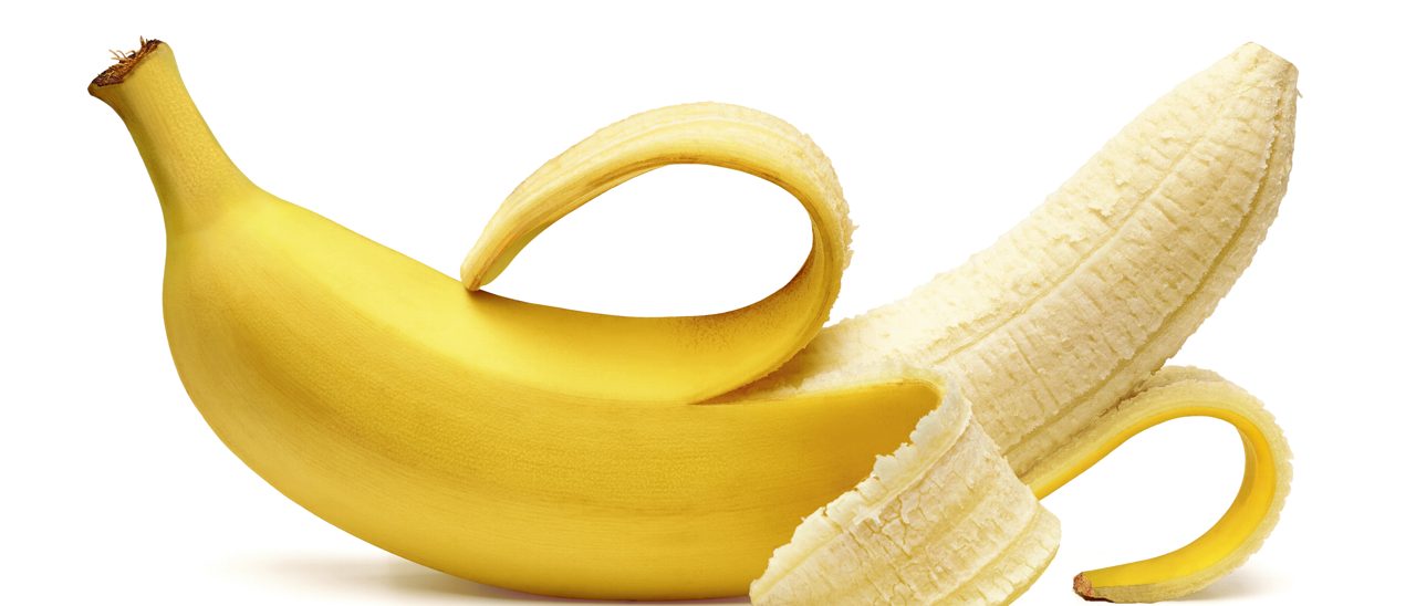 Siamo tutti scimmie o siamo tutti razzisti?