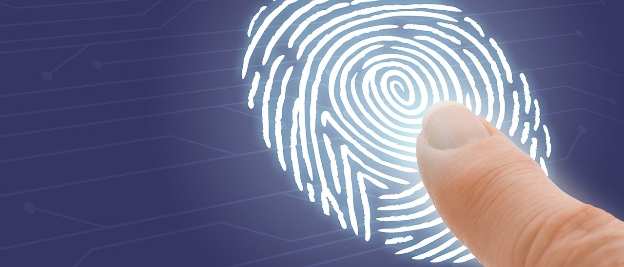 iOS 7.1.1 conferma Touch ID per iPad