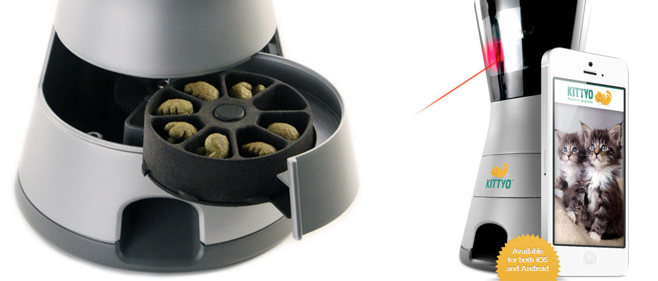Kittyo, il dispositivo hi-tech per chi ama i gatti