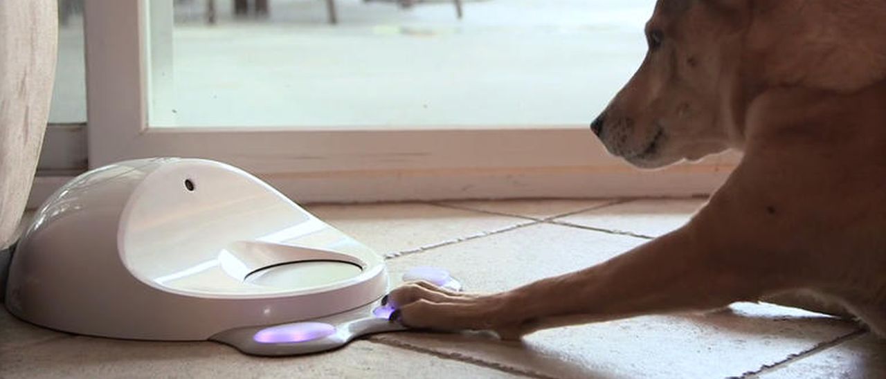 CleverPet, lo smart device per i cani