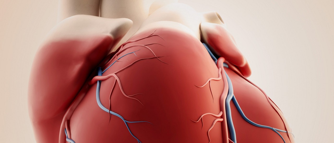 Stampato in 3D un mini-cuore