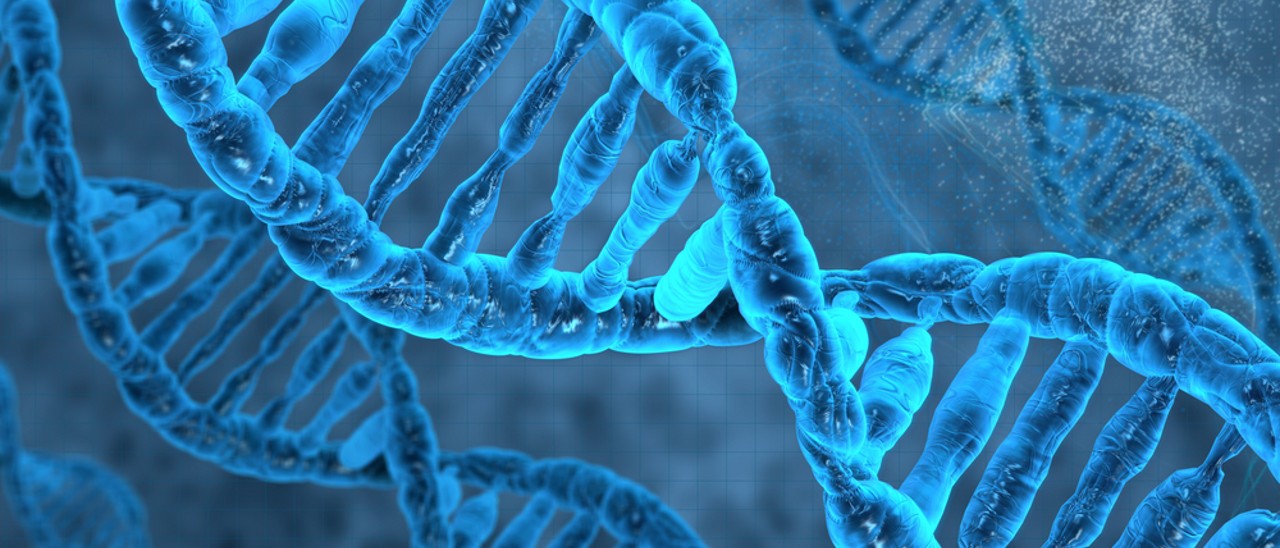 Creato un batterio artificiale con DNA esteso