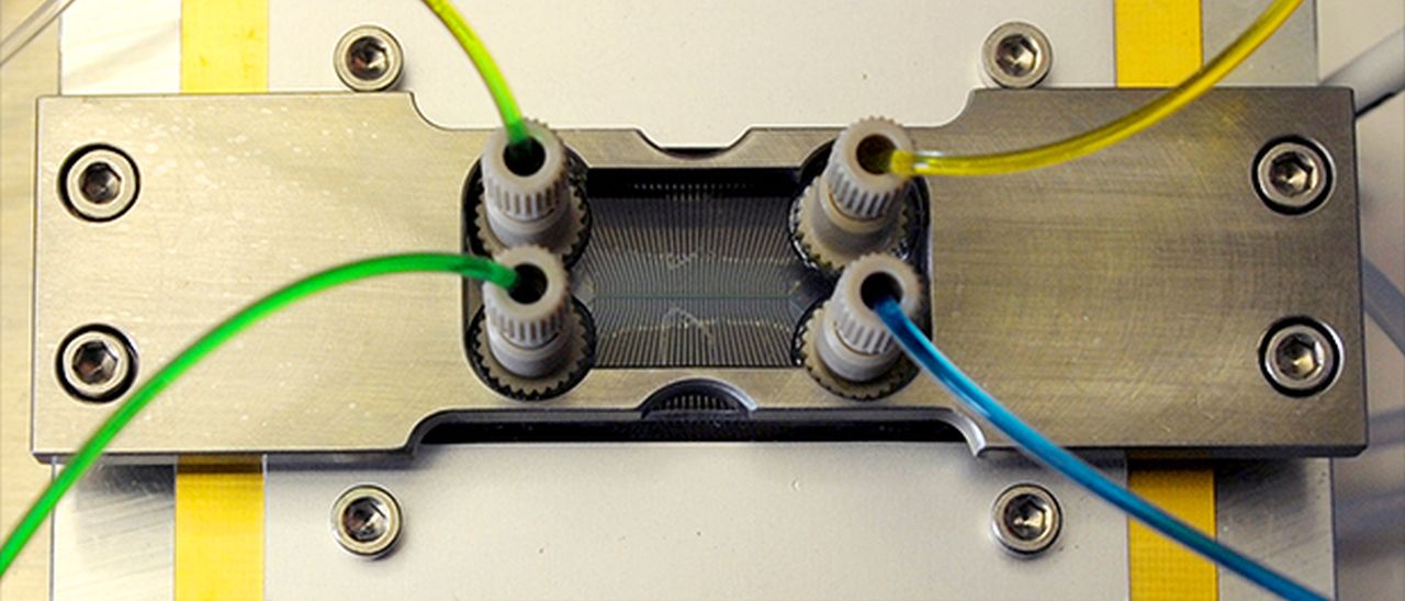 Electronic blood per alimentare i computer?