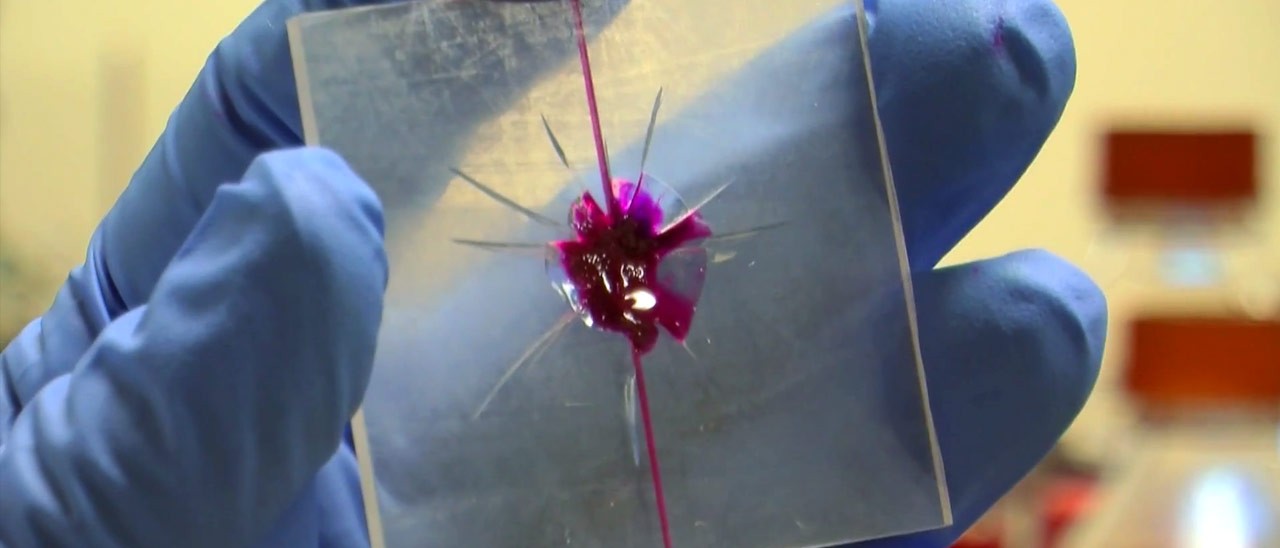 Vascular Delivery: la plastica che si rigenera