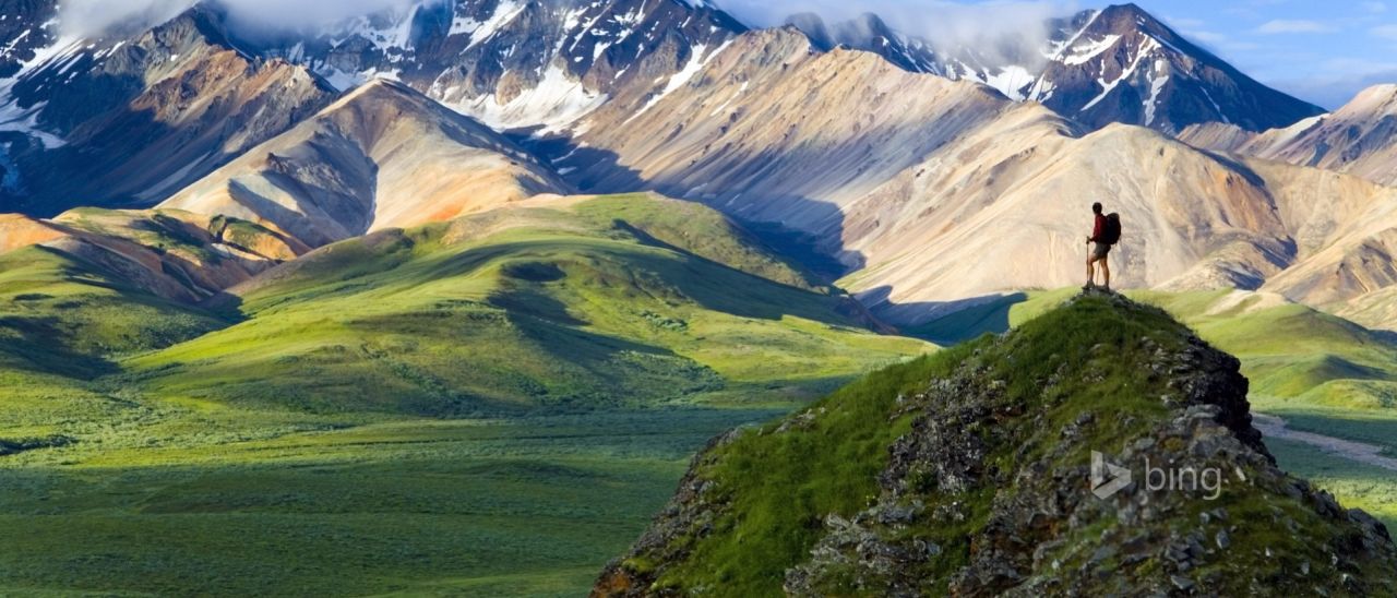 Microsoft festeggia i 5 anni di Bing 