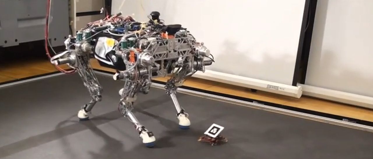 Grandi e piccoli robot possono lavorare in team