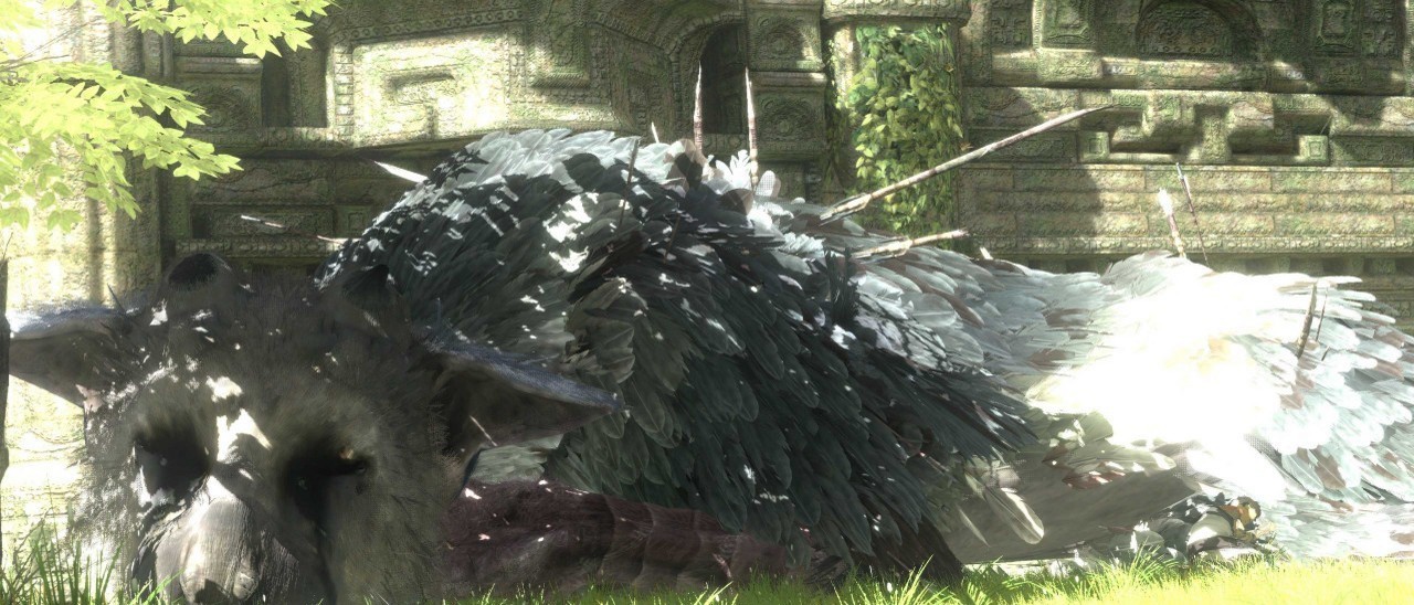 E3 2014: che fine ha fatto The Last Guardian?