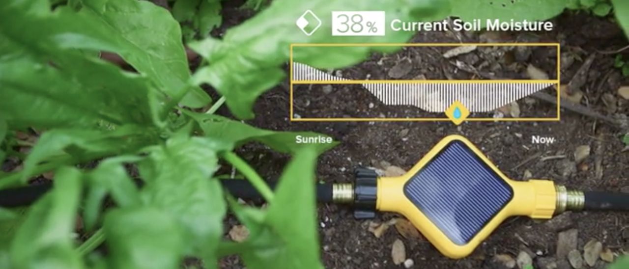 Edyn, il giardino di casa diventa smart