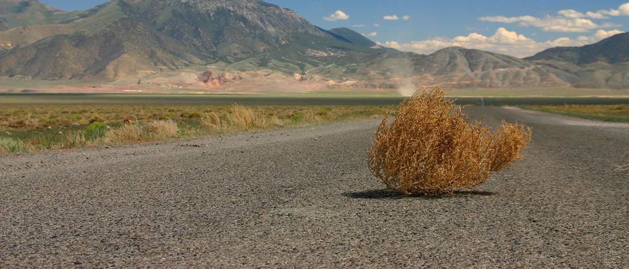 Nuovo iOS 8, vecchie mappe