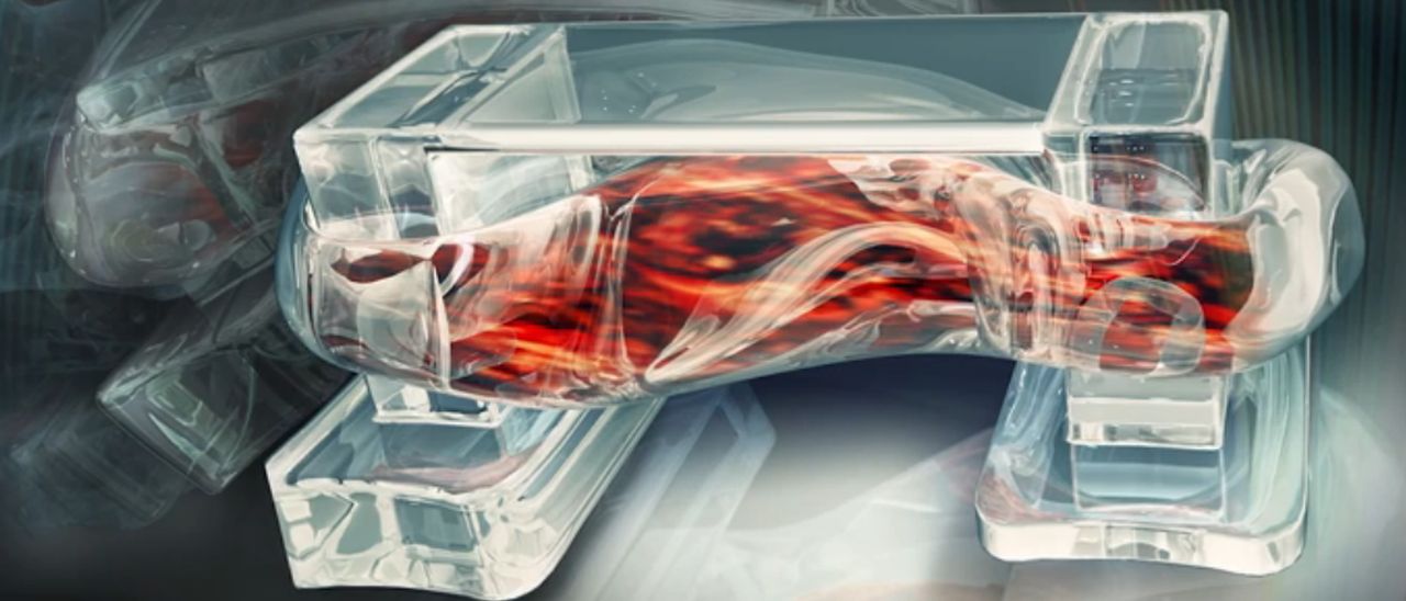 Muscoli e idrogel per biobot stampati in 3D