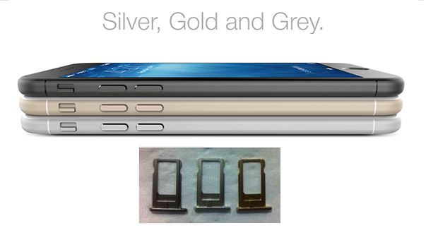 iPhone 6 i vassoi delle SIM confermano i colori