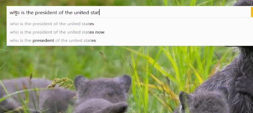 "Chi è il Presidente degli Stati Uniti?"