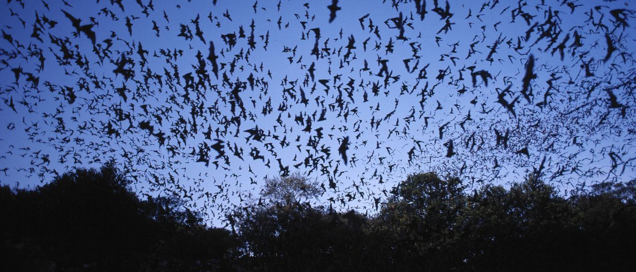 SoundLoc, il GPS indoor basato sulla ecolocazione