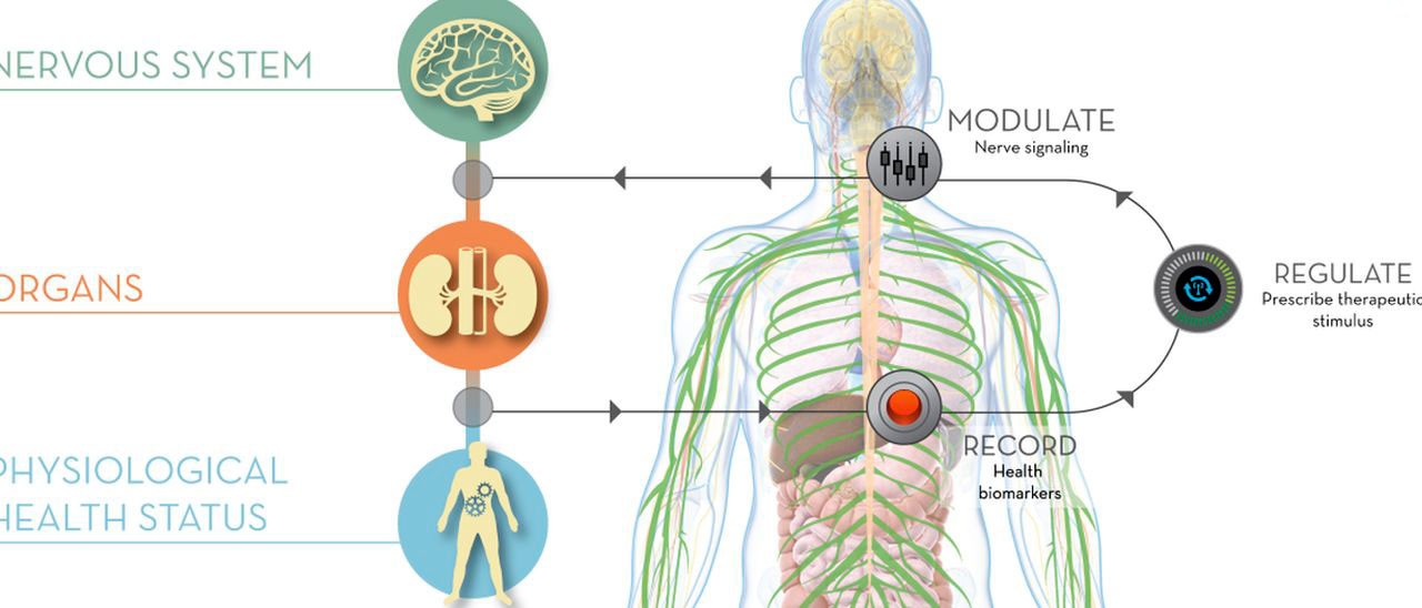 DARPA ElectRx, nanobot per guarire più in fretta