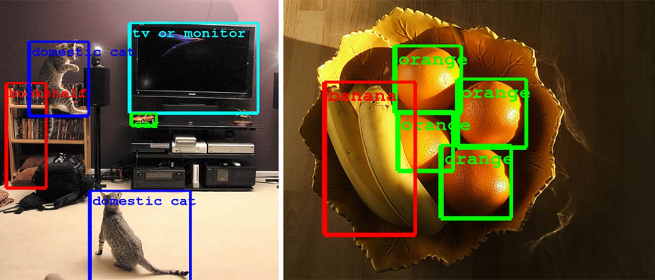 Il riconoscimento delle immagini secondo Google