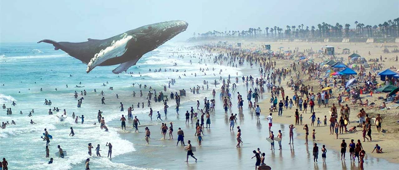 Google investe in Magic Leap