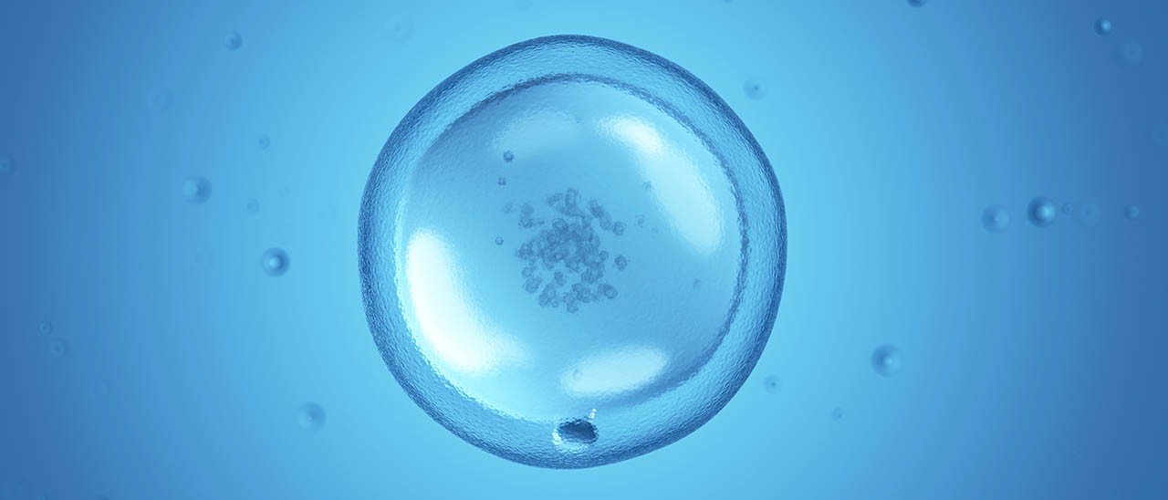 Congelamento degli ovuli per le dipendenti Apple