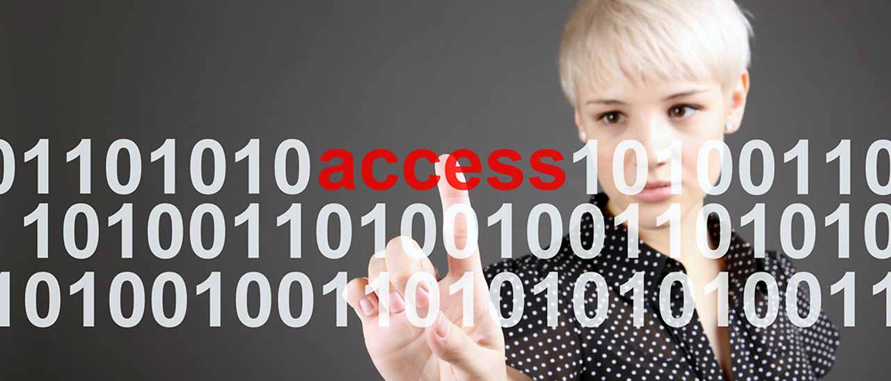 Dichiarazione di Internet: l'articolo 2