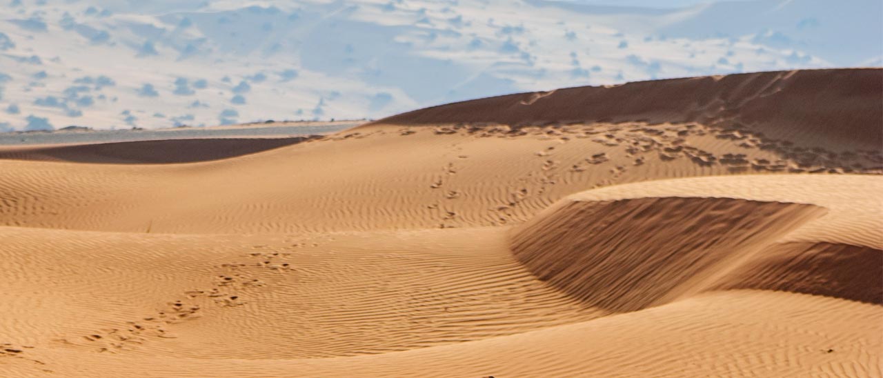 Nel deserto di Liwa con Street View