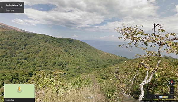 Il lago Tanganyika nel Gombe National Park, immortalato su Google Street View
