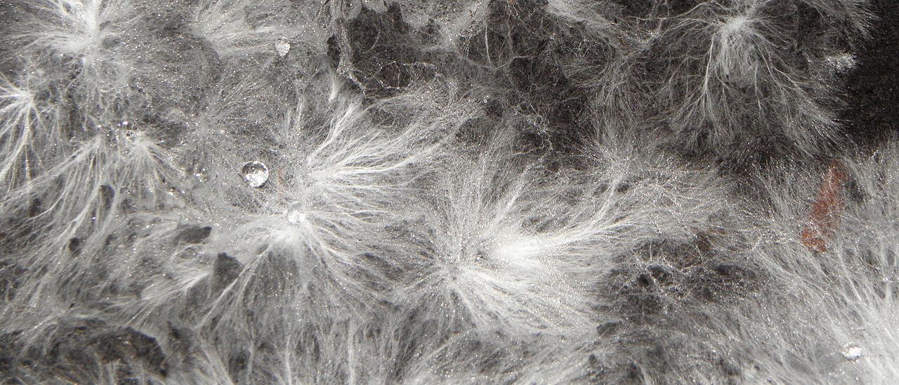 Drone biodegradabile, perfetto per lo spionaggio