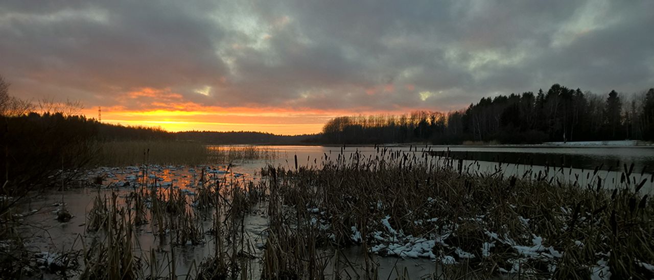 Windows Phone 8.1, foto perfette con Lumia Denim