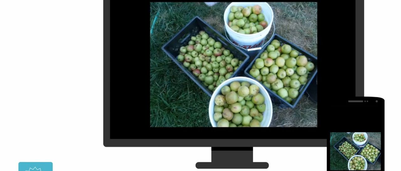 Microsoft Xim mostra le foto sul grande schermo