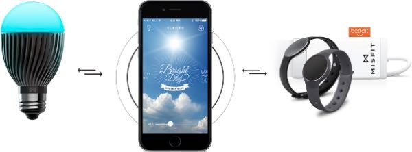 Bolt, la lampadina intelligente