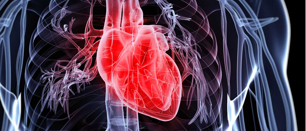 Smart Glue per organi realizzati con stampanti 3D