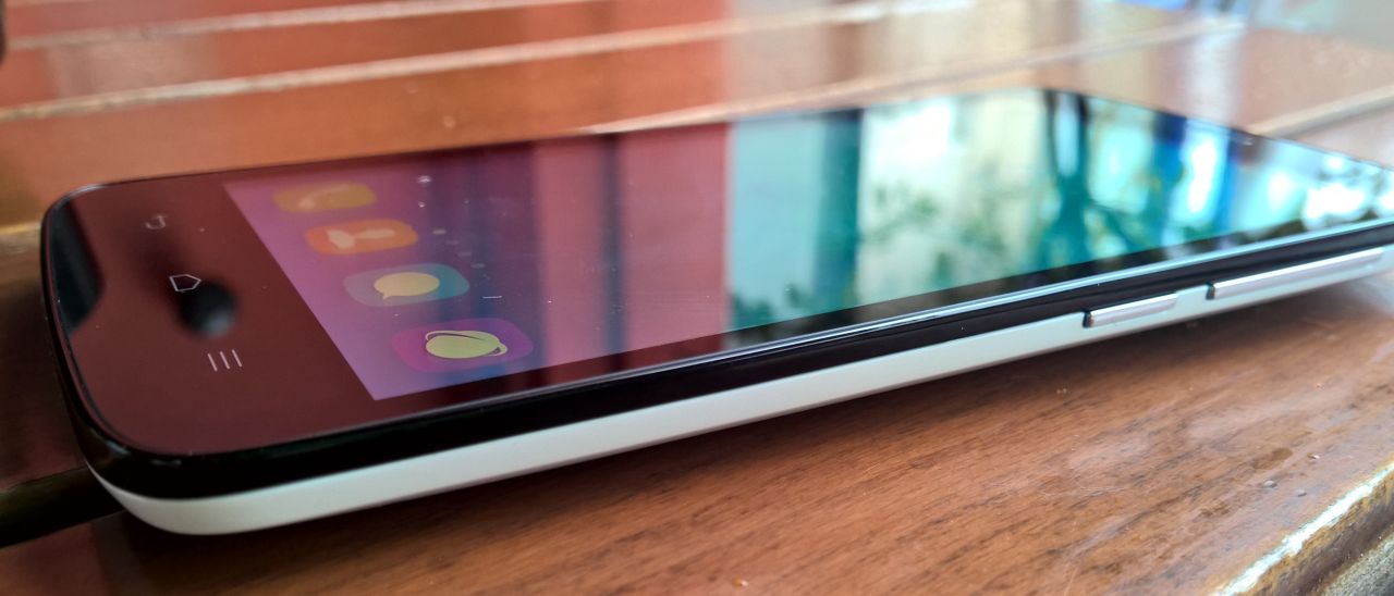 Honor festeggia i primi 100 giorni con Holly