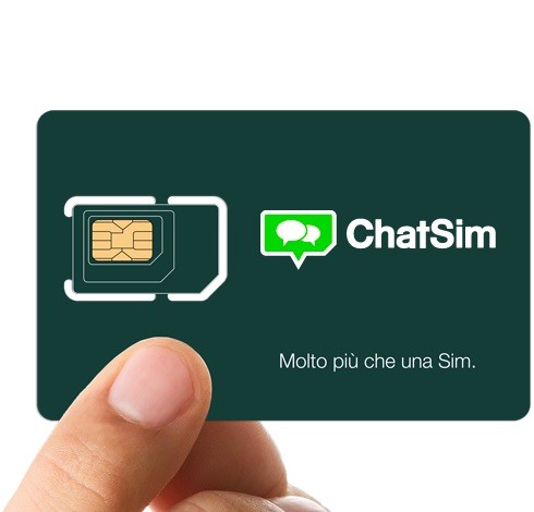 ChatSim