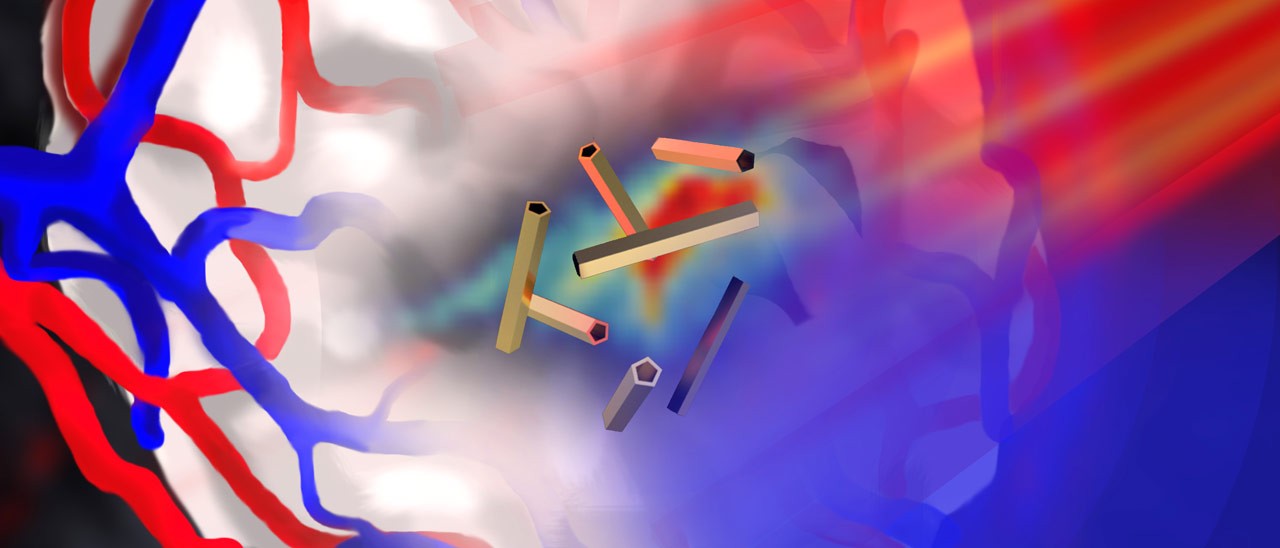 Nanotubi in oro per combattere il cancro