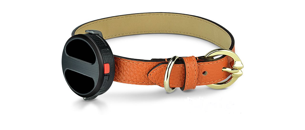 MWC 2015: da Haier un collare smart per i cani