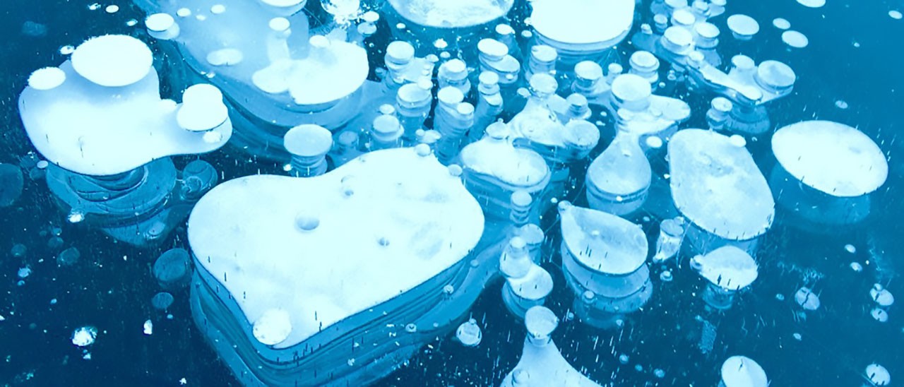 Shot On iPhone 6: fotografie da tutto il mondo