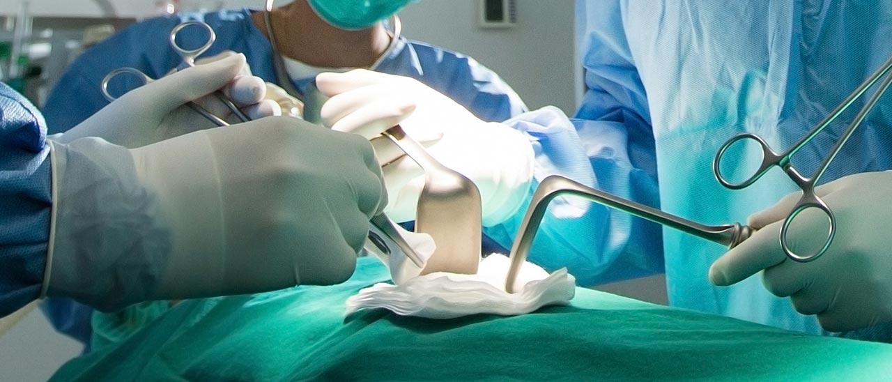 Il primo trapianto di testa sarà italiano