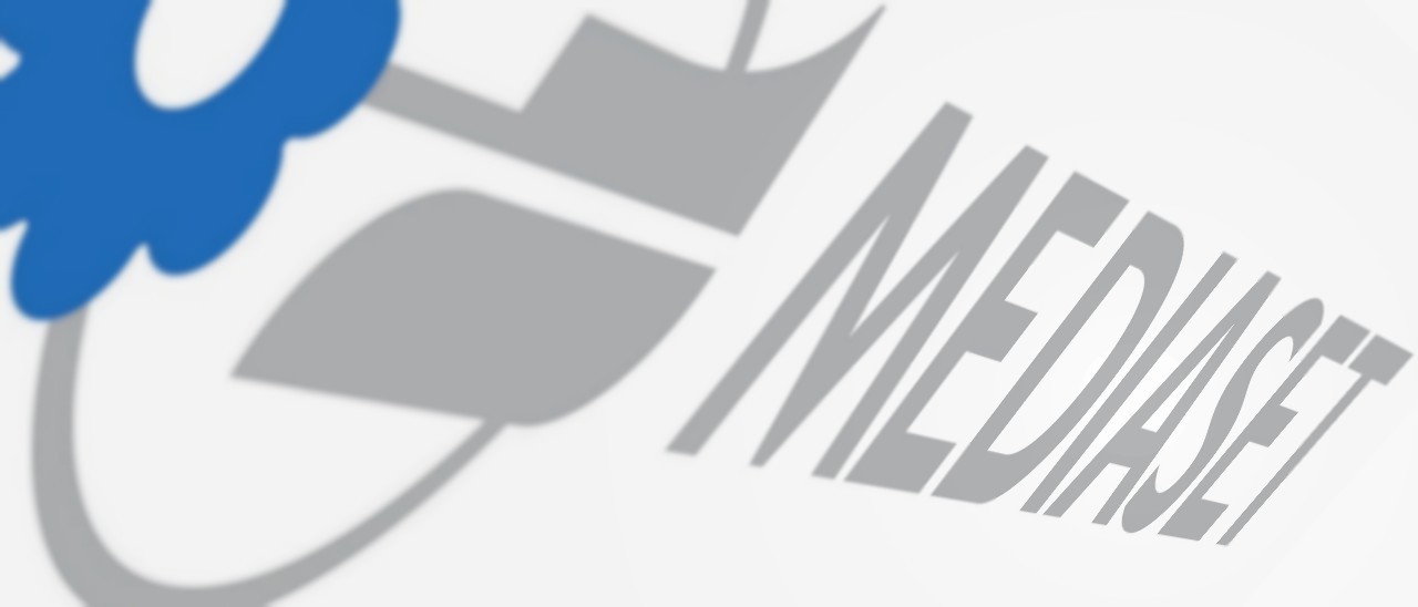 Confalonieri sfida Google, Facebook e Amazon