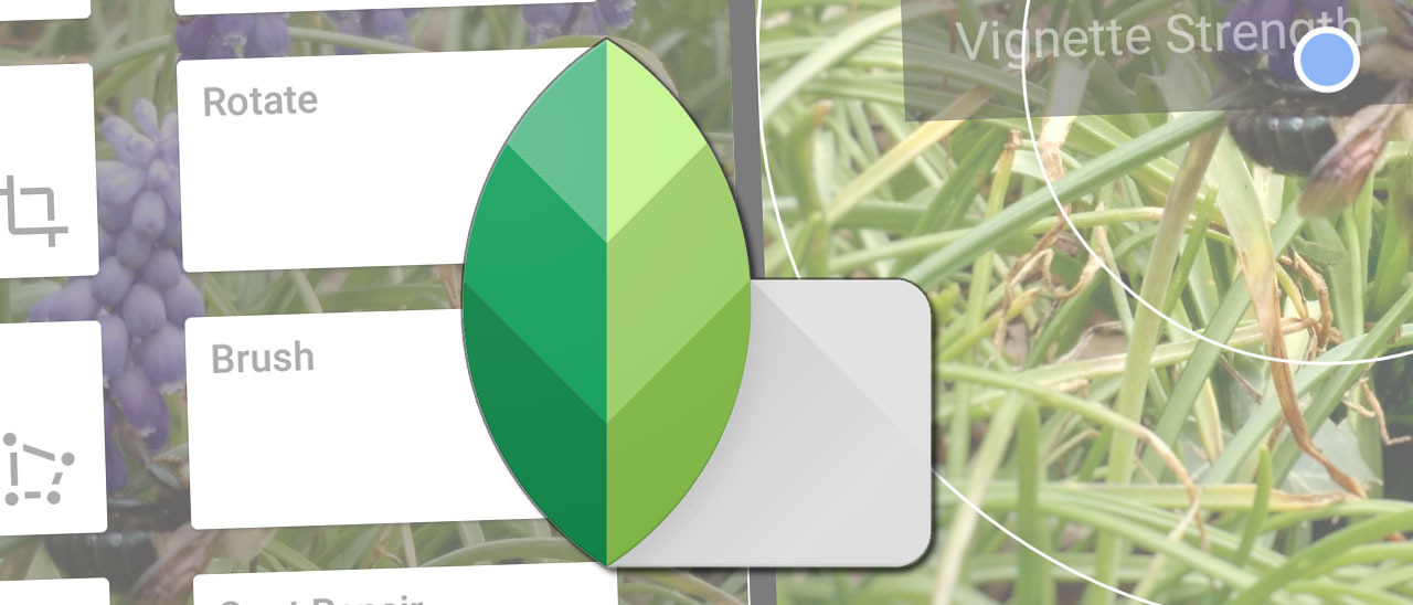 Google migliora Snapseed: arrivano le curve