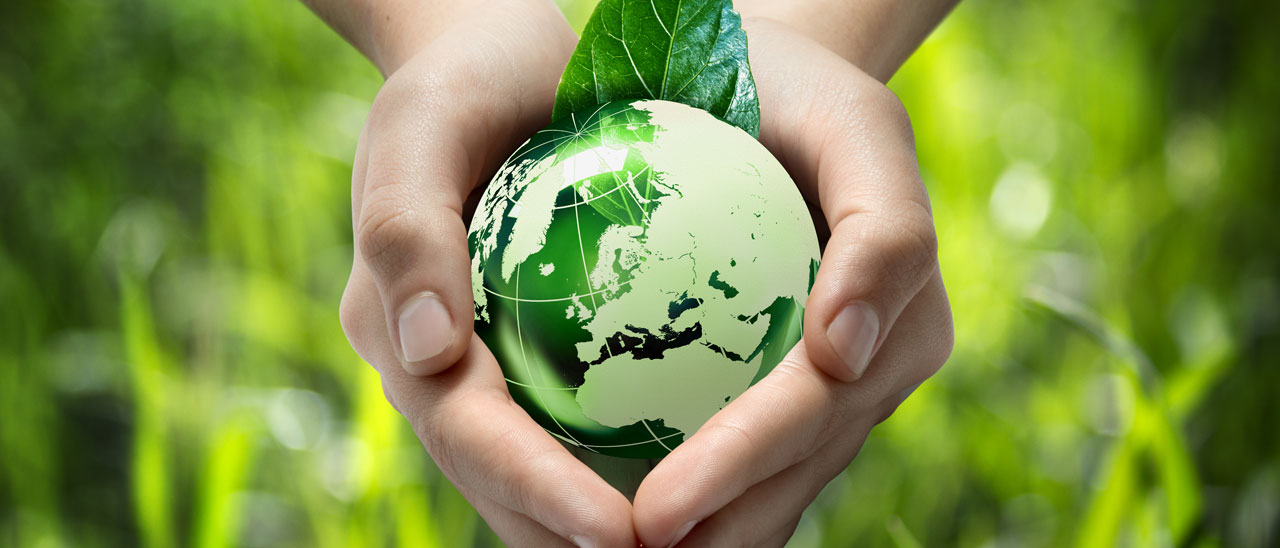 La Giornata della Terra celebrata da Google