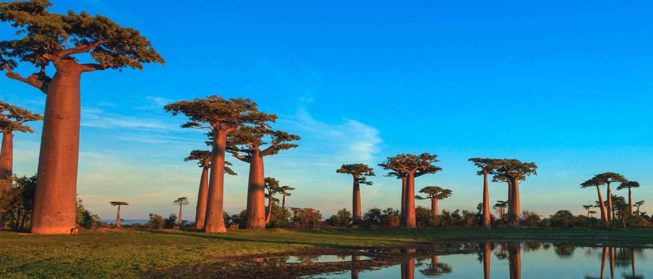 Con Street View nel Madagascar