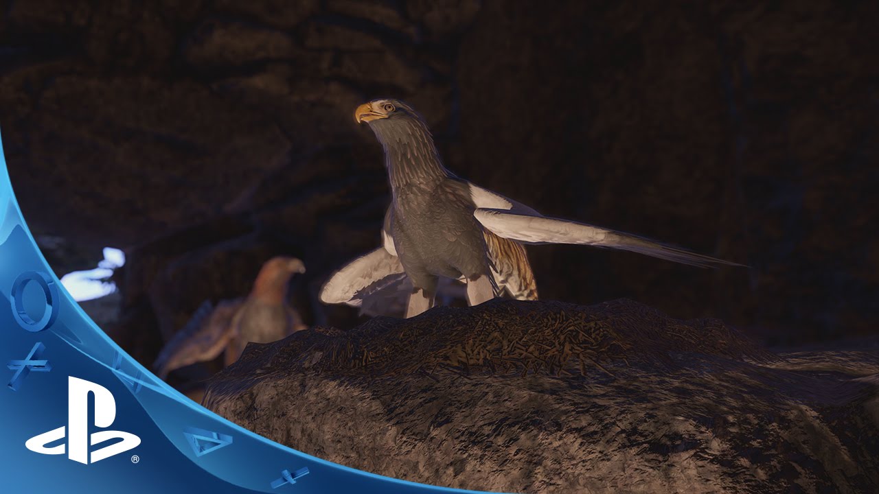 Wander | Story trailer | PS4