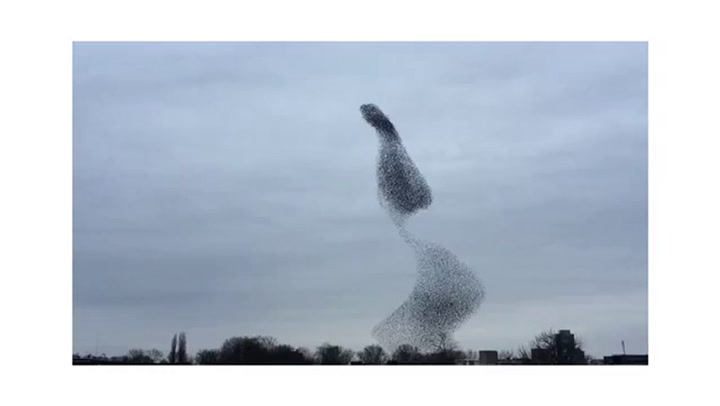 Shot on iPhone 6 - Stormo