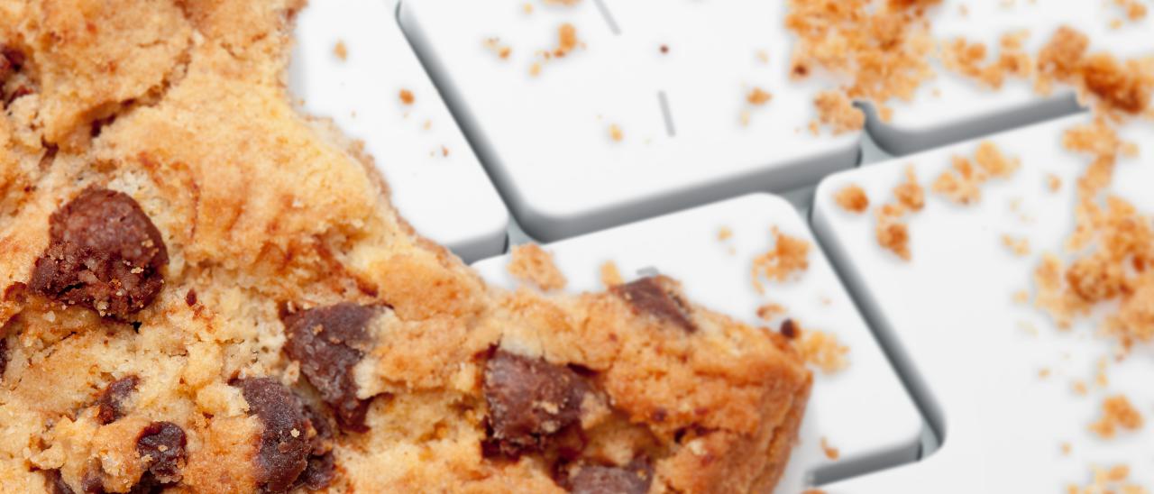 Cookie Law: il Garante controllerà