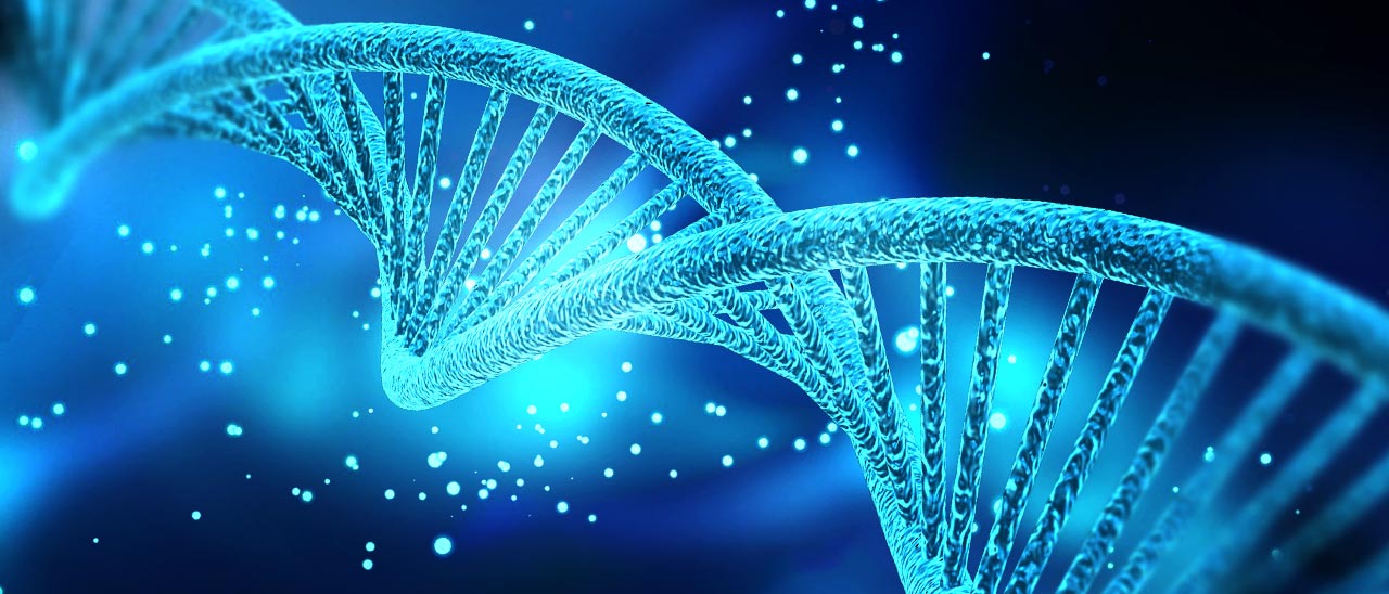 Google Genomics: partnership con Broad Institute