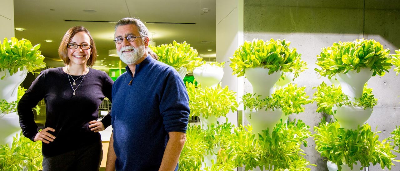 Microsoft: Urban Farming e alimentazione sostenibile