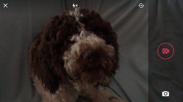 Twitter, registrazione video in landscape