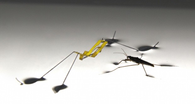 Il robot strider creato dai ricercatori della Seoul National University