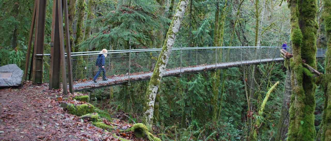 Windows 10, come utilizzare Project Islandwood