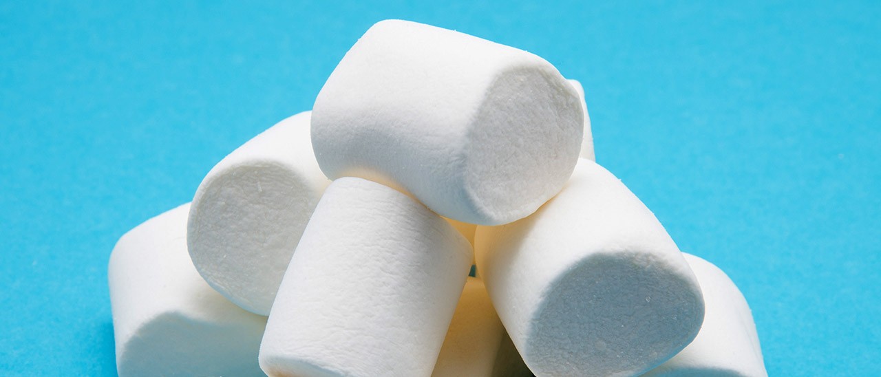 Android 6.0.1 Marshmallow arriva sugli Android One