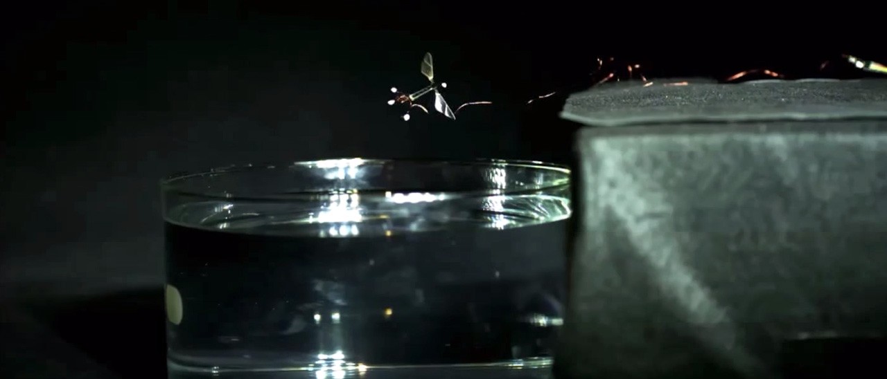 RoboBee: l'insetto robot che sa volare e nuotare