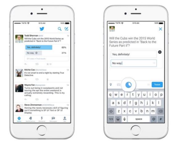 Twitter, arrivano i sondaggi nativi